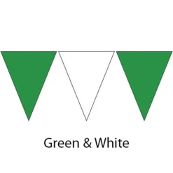 Kiefer Plastic Flags - 100 Ft. (Pair) -Speedo Shop 600120 grn wht 2